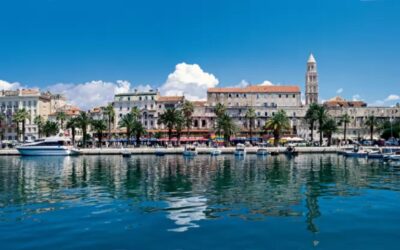 General Assembly & Workshop 2026